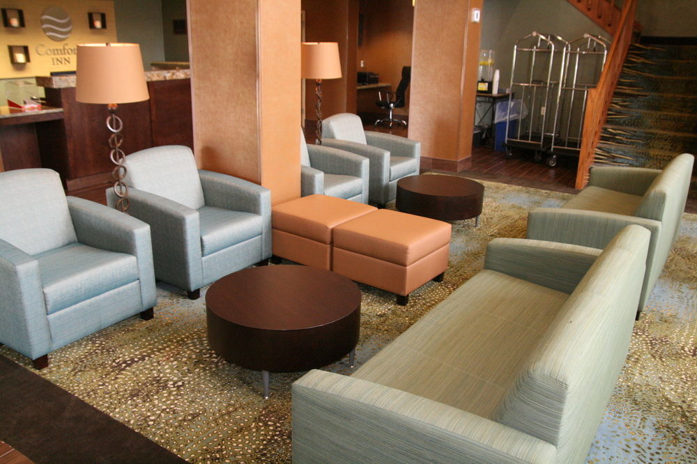 Comfort Inn Pine Grove I-81 Hershey Area Exterior photo